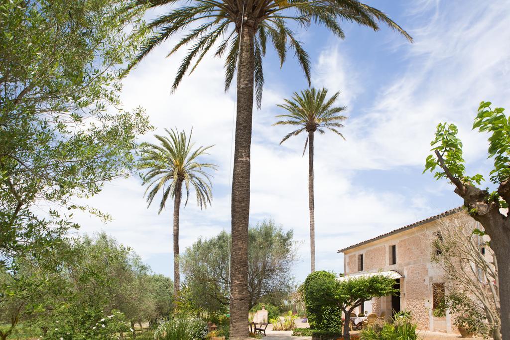 Agroturismo Es Pla De Llodra Manacor  Zewnętrze zdjęcie