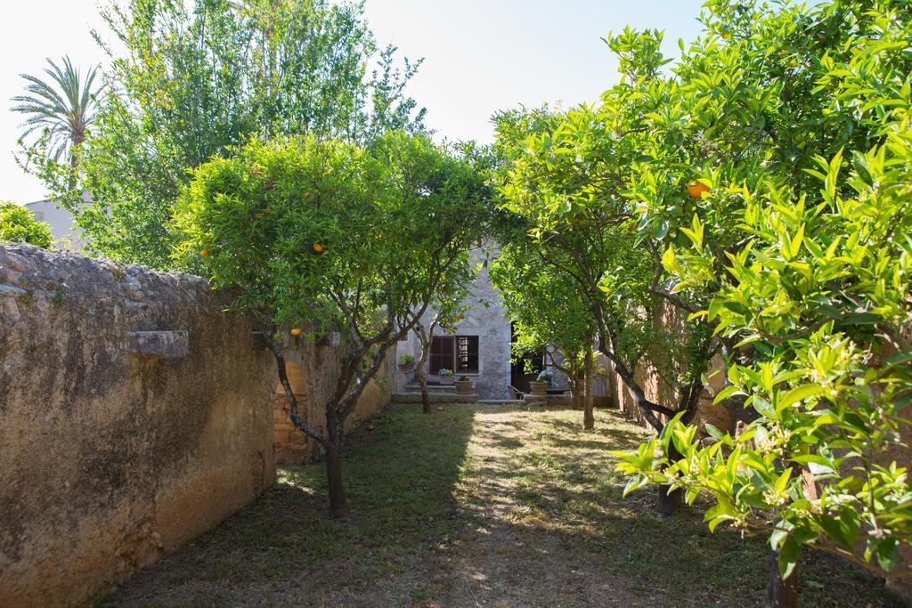 Agroturismo Es Pla De Llodra Manacor  Pokój zdjęcie