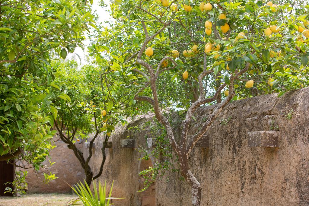 Agroturismo Es Pla De Llodra Manacor  Zewnętrze zdjęcie