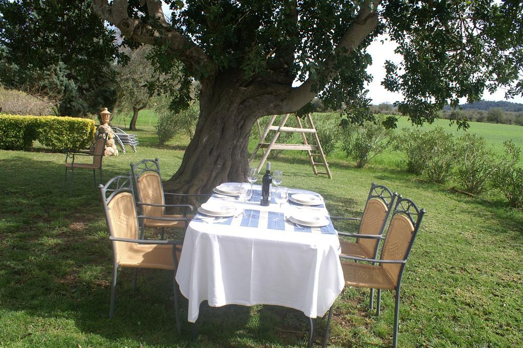 Agroturismo Es Pla De Llodra Manacor  Pokój zdjęcie